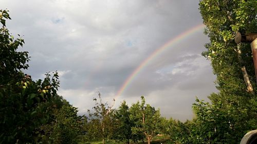 rainbow