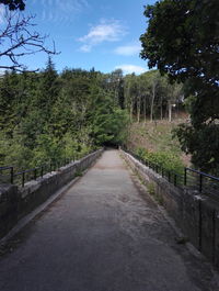 Road amidst trees against sky