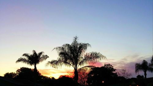 Low angle view of silhouette trees against sky during sunset