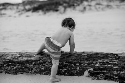 Shirtless boy climbing on tree at beach