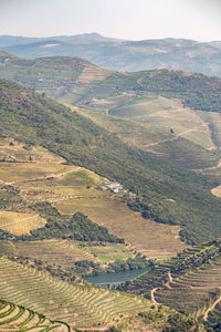 High angle view of agricultural field