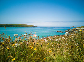 Scenic view of sea against clear blue sky