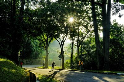 People on road amidst trees in park at morning
