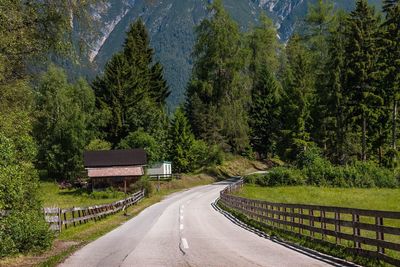 Empty road amidst trees in forest against sky