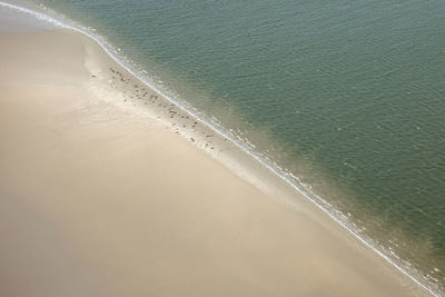 High angle view of waves on beach