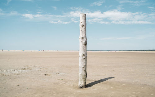 Wooden posts on beach against sky