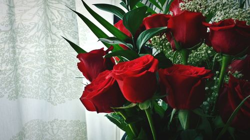 Close-up of red flowers