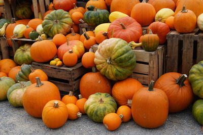 High angle view of varition of pumpkins in market