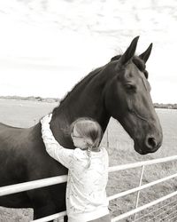 Horse standing in ranch