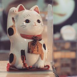 Close-up of animal representation