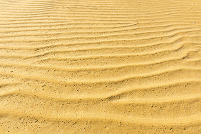 Full frame shot of sand dune