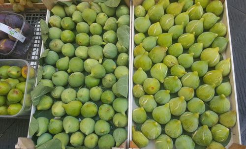 Close-up of fruits for sale