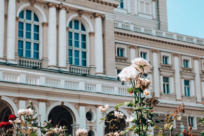 National odessa national academic opera and ballet theatre. architectural monument. travel 