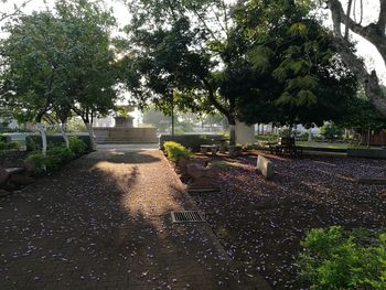 Plants by trees in park against sky