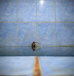 Close-up of insect on wall