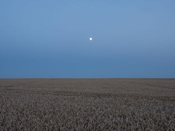 Scenic view of field against clear sky at night
