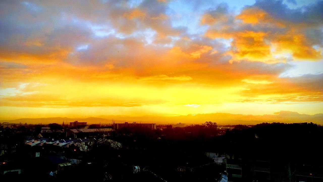 SILHOUETTE TREES BY BUILDINGS AGAINST SKY DURING SUNSET