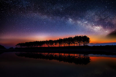 Silhouette trees by lake against milky way at night