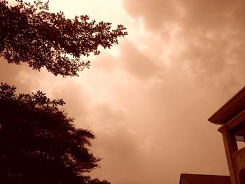 Low angle view of trees against cloudy sky