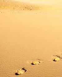 High angle view of sand dunes at beach against sky