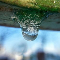 Close-up of water drops on leaf