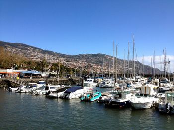 Boats moored at harbor against clear blue sky
