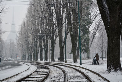 Road amidst bare trees during winter