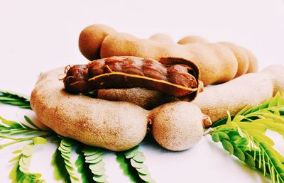 Close-up of burger against white background