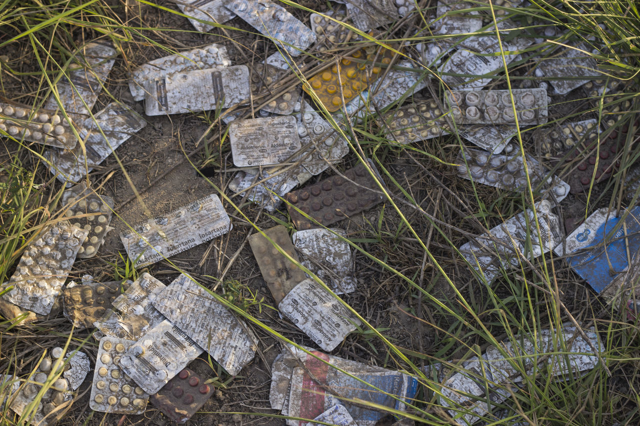 HIGH ANGLE VIEW OF DRY LEAVES ON FIELD