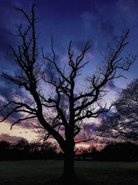 Silhouette bare tree on field against sky at sunset