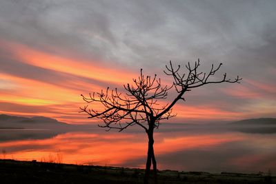 Silhouette bare tree against dramatic sky during sunset