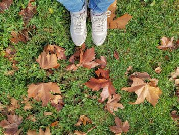 Low section of person wearing autumn leaves on field