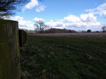 Scenic view of field against sky