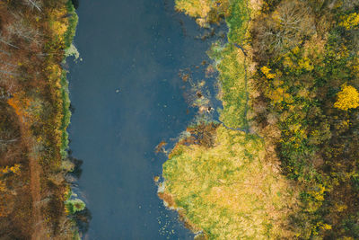 High angle view of trees by lake during autumn