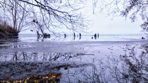 Bare trees by lake against sky during winter