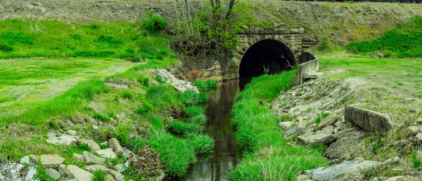 Arch bridge on grassy field