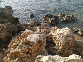 High angle view of rocks on beach