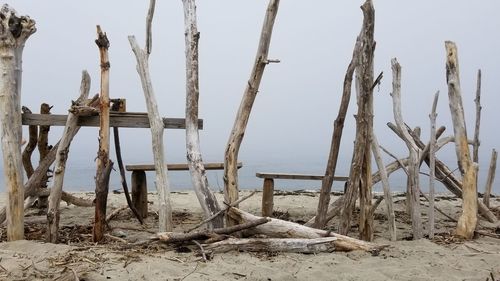 Wooden posts on beach against sky