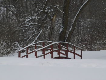 Bare trees on snow covered field