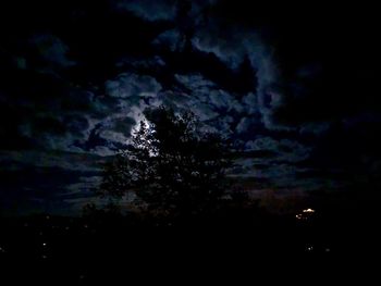 Low angle view of silhouette trees against sky at night