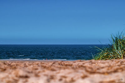 Scenic view of sea against clear blue sky