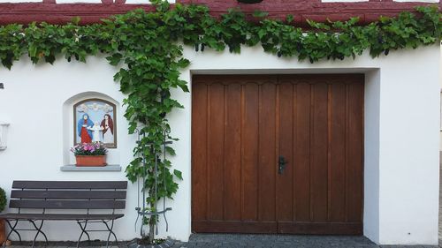 Plants and flowers growing around old european door