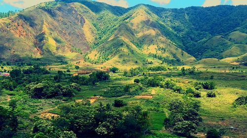 View of lush green landscape against rocky mountains