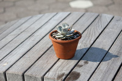 Close-up of wooden door