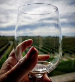 Close-up of hand holding glass of wine