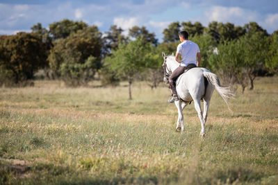 Rear view of man riding horse on field