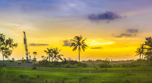 Scenic view of field against sky during sunset