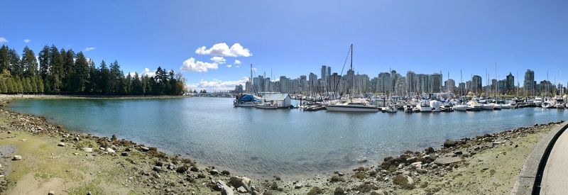 Sailboats moored in marina