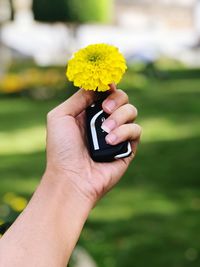 Close-up of hand holding yellow flower