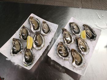 High angle view of fish on table